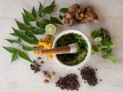Did You Know About These Natural Herbs to Heal Scars?