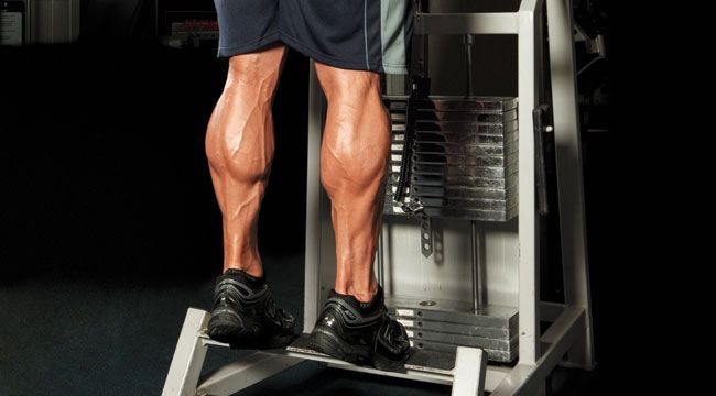 3 Calf Training Mistakes You Might be Making and how to Fix Them