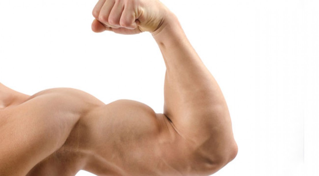 4 Exercises That Will Give You More Muscular Arm