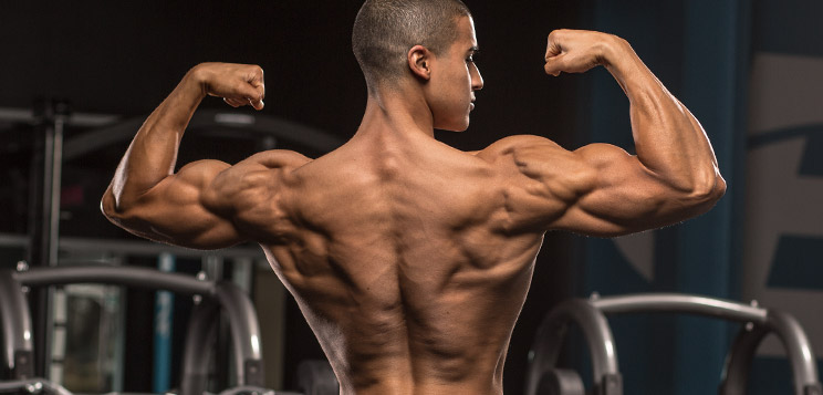 4 Best Exercises to Work on Your Lats