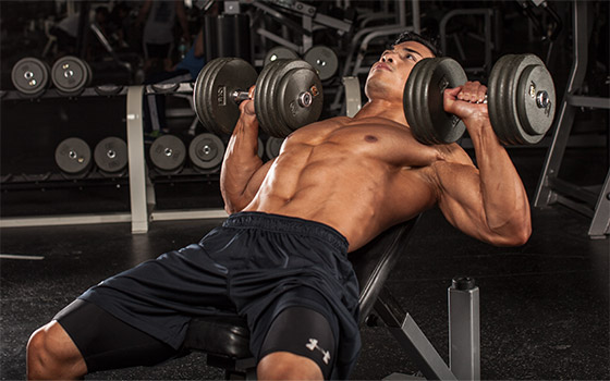 4 Chest Workouts Every Beginner Must Know