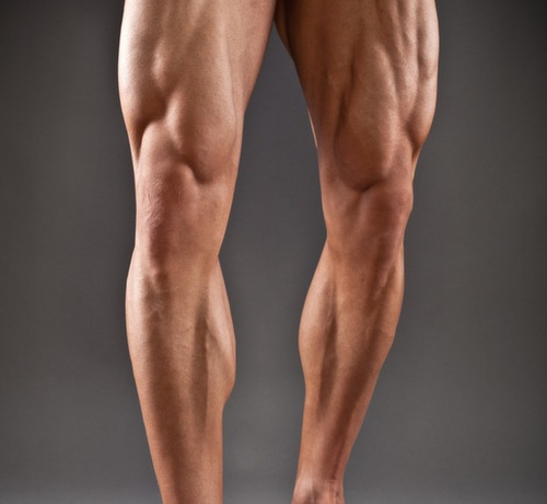 4 Innovative Ways To Improve Your Leg Muscles Trainer